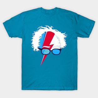 Funny Bernie Sanders Campaign T-Shirt